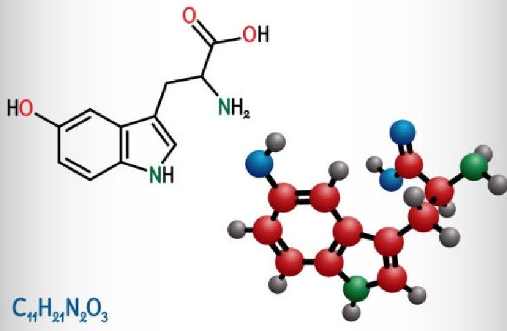 Yu Sleep ingredient 5-HTP